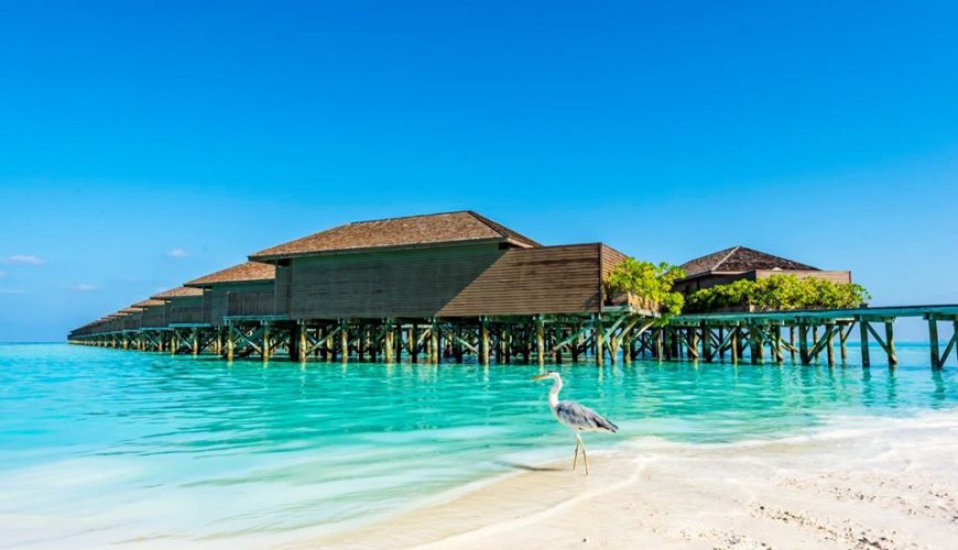 Maldives ở đâu