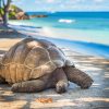 Seychelles – Thiên đường biển đảo