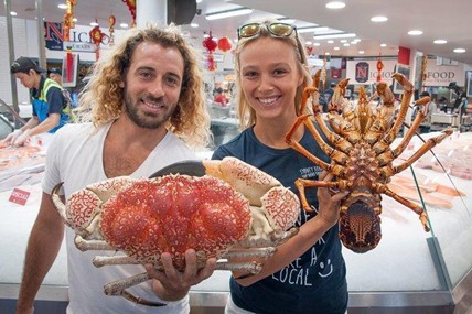 NGÀY 03: SYDNEY ZOO - CHỢ CÁ HẢI SẢN (ĂN sáng, tối)