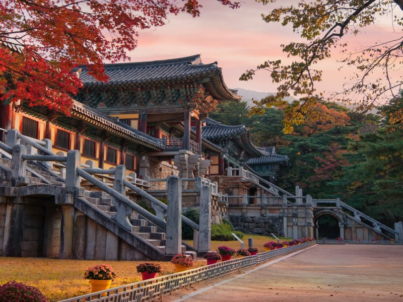 TOUR 6N5Đ: TRẢI NGHIỆM TÀU CAO TỐC KTX TUYẾN BUSAN – SEOUL