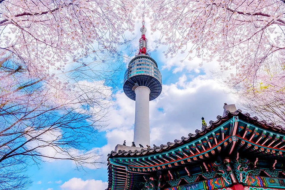 NGÀY 6: SEOUL - HÀ NỘI (ĂN S/T/-)
