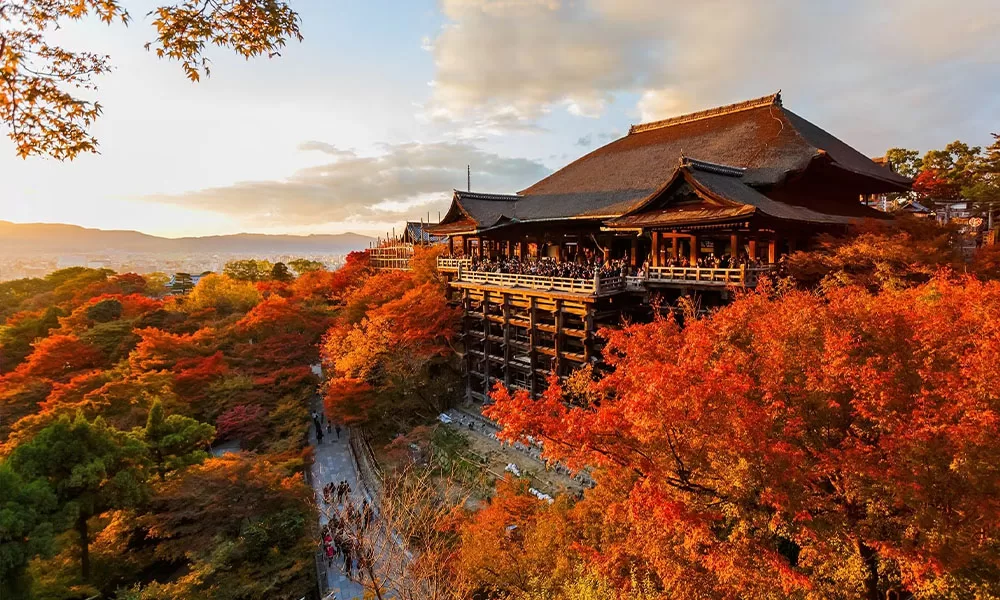 NGÀY 3: OSAKA - CỐ ĐÔ KYOTO (ĂN S/T/T)