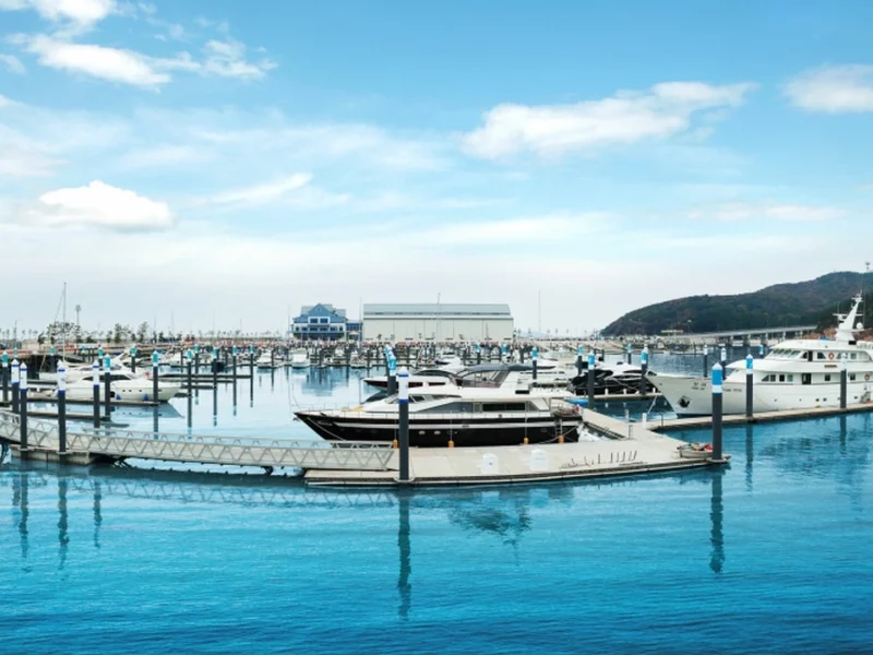 TOUR 6N5Đ: HÀ NỘI – BUSAN -SEOUL– ĐẢO NAMI – INCHEON- THƯ VIỆN SÁCH- ĐI PHÀ CHO HẢI ÂU ĂN