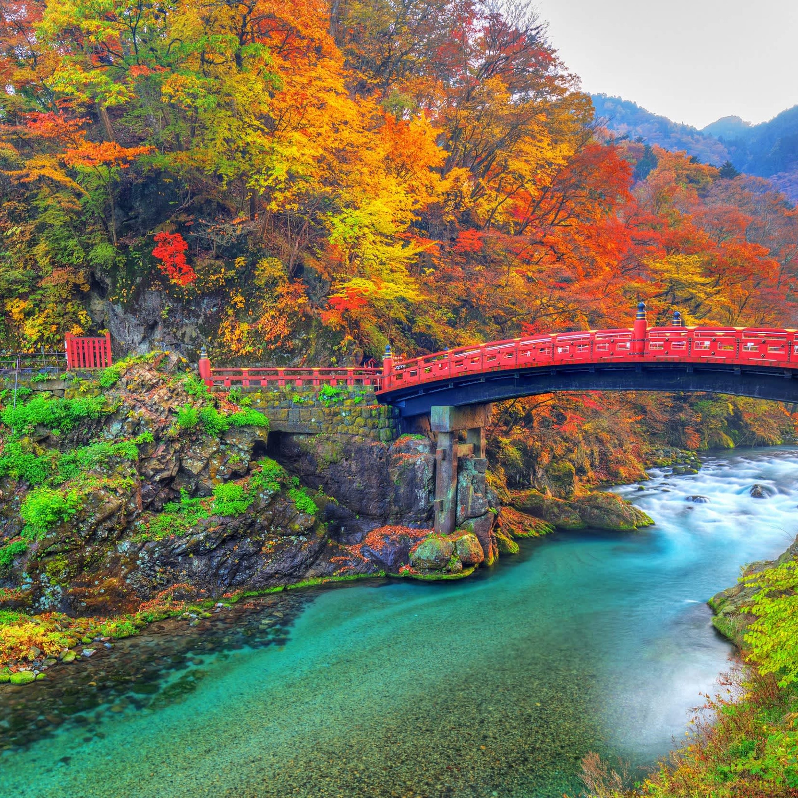 NGÀY 04: TOKYO – NIKKO – TOKYO                                                  (Ăn sáng / trưa / tối)